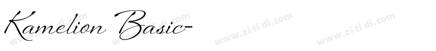 Kamelion Basic字体转换